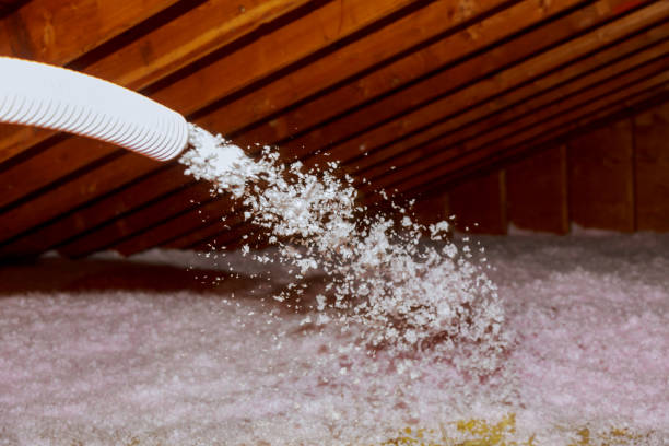 Best Attic Insulation Installation  in Berry College, GA