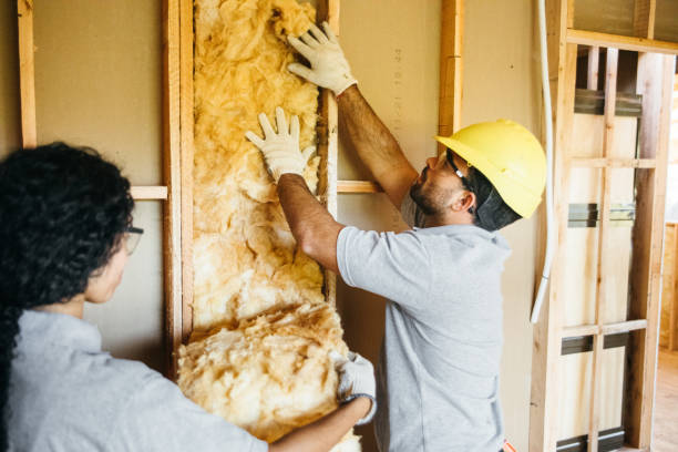 Best Best Insulation Companies  in Berry College, GA