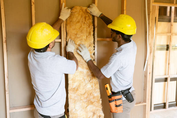 Best Professional Insulation Contractor  in Berry College, GA